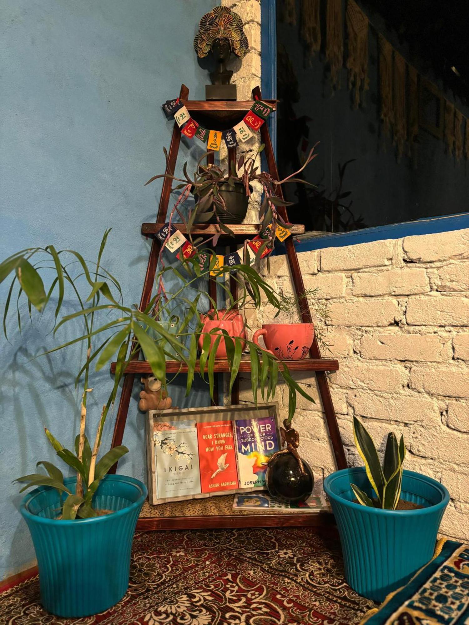 Kasolview And Peace Cafe