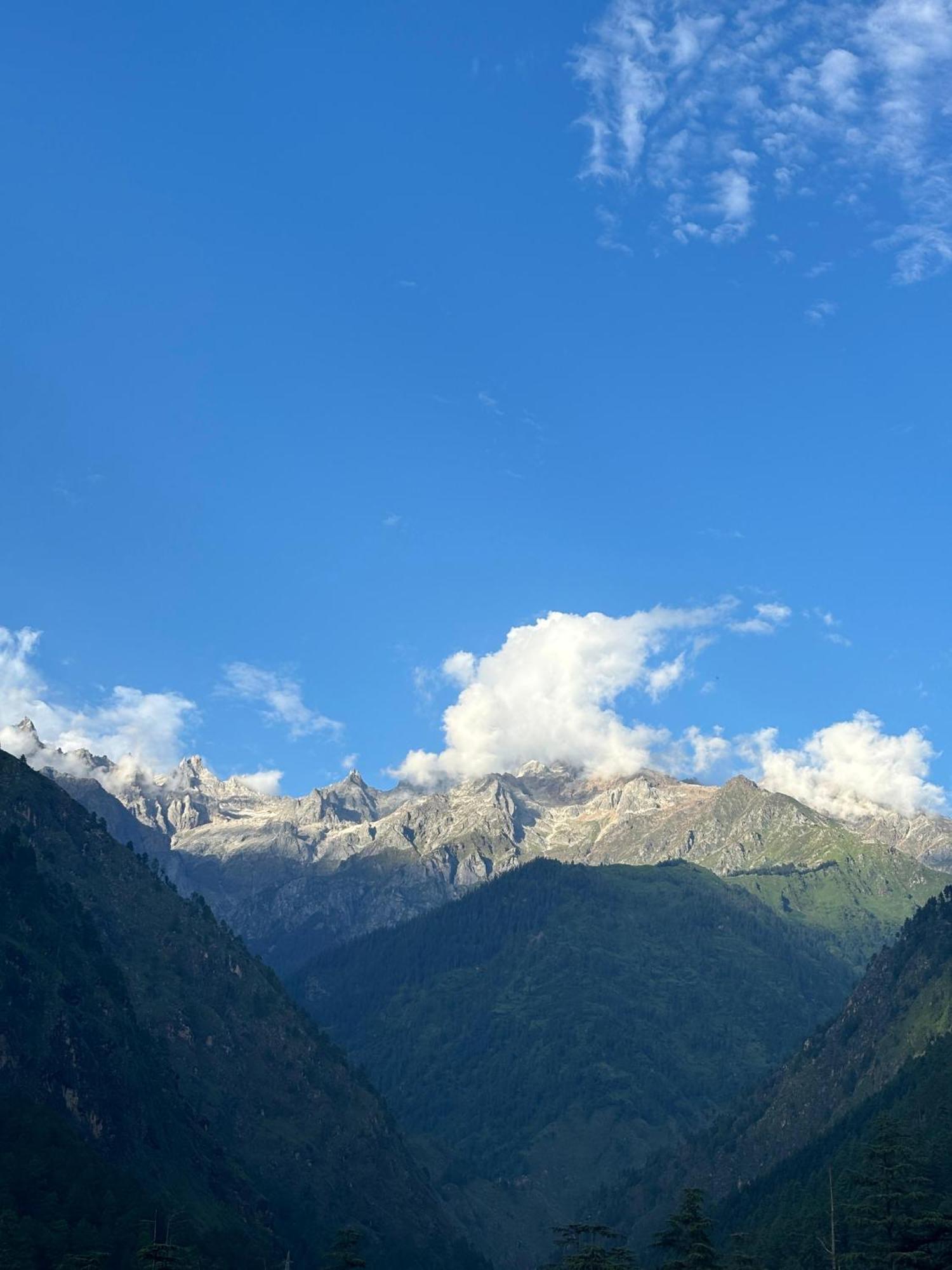 Kasolview And Peace Cafe Homestay Kasol