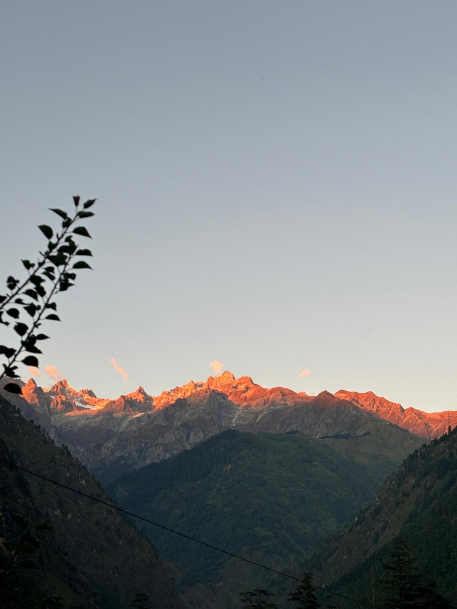Kasolview And Peace Cafe Homestay Kasol